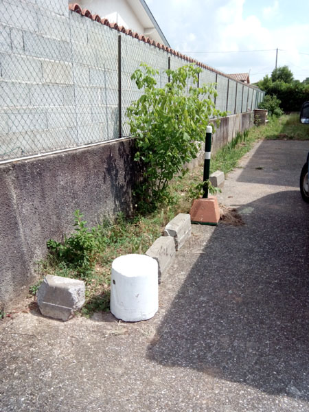plots le long du mur est